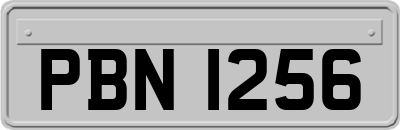 PBN1256