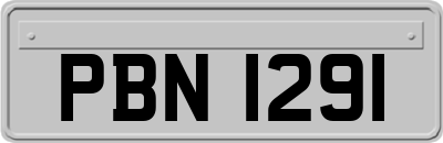 PBN1291