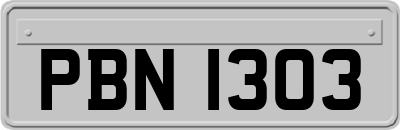 PBN1303