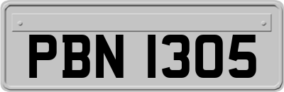 PBN1305