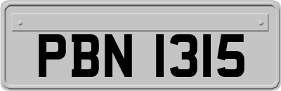 PBN1315