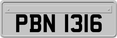 PBN1316