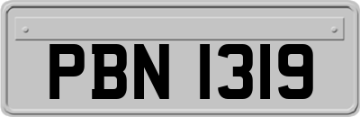 PBN1319