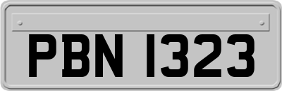 PBN1323