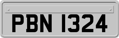 PBN1324