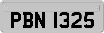 PBN1325