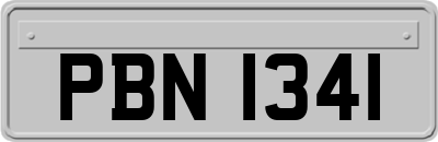 PBN1341