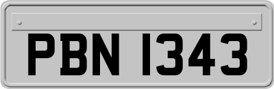 PBN1343