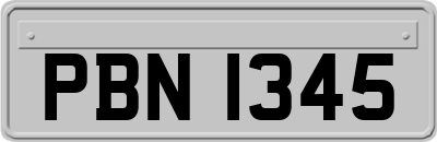 PBN1345