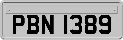 PBN1389