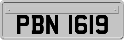 PBN1619