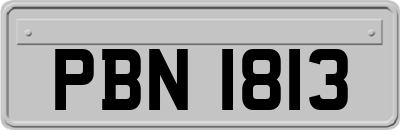 PBN1813