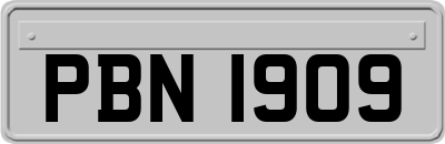 PBN1909