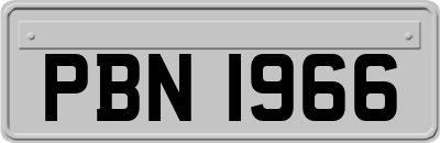 PBN1966