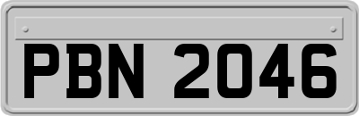 PBN2046