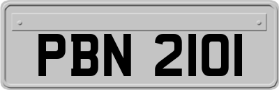 PBN2101