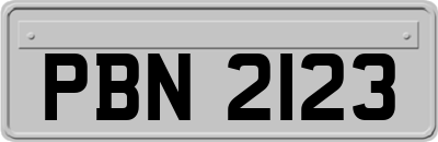 PBN2123