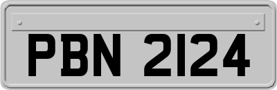 PBN2124