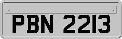 PBN2213