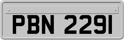 PBN2291