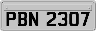 PBN2307