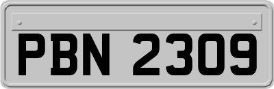 PBN2309