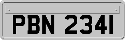 PBN2341