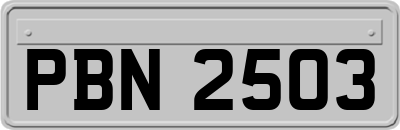 PBN2503