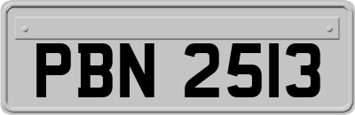 PBN2513