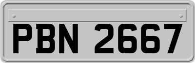 PBN2667