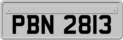 PBN2813