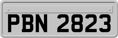 PBN2823