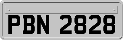 PBN2828