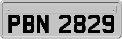 PBN2829