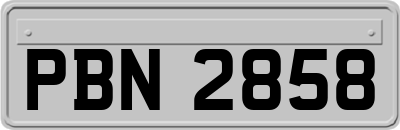 PBN2858