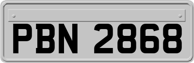 PBN2868