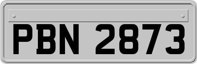 PBN2873