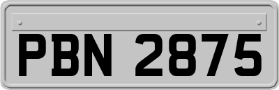 PBN2875