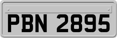 PBN2895