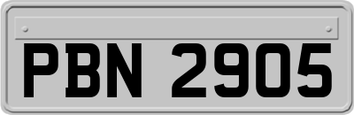 PBN2905