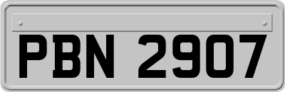 PBN2907