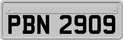 PBN2909