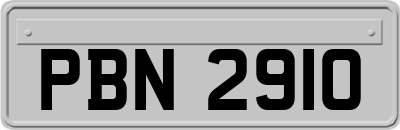 PBN2910