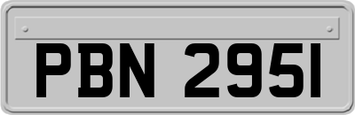 PBN2951