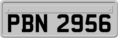 PBN2956