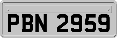 PBN2959