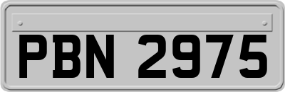 PBN2975