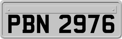 PBN2976