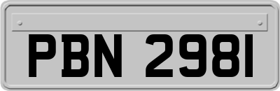 PBN2981