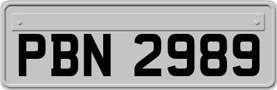 PBN2989